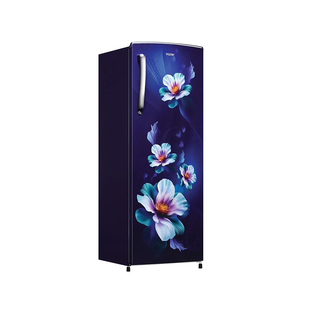 Haier 235L 2 Star Direct Cool Refrigerator - HRD-2562CMK-N
